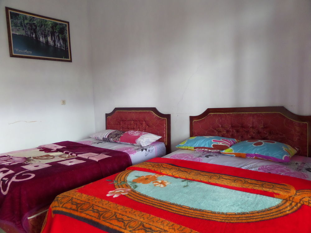 Hotel Nadia Bromo Luaran gambar